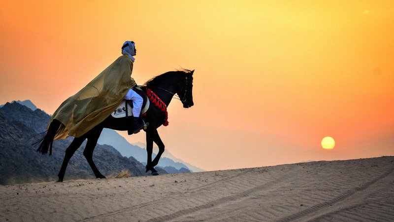 8 Day Winter Wonderland Safari Riding Adventure Horse Riding Tour in Egypt