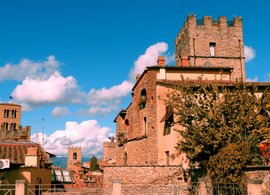 Arezzo Retreats & Trips