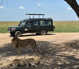 67 Tage Kenia-Safari: Abenteuer in der Tierwelt von Masai Mara, Lake Nakuru, Lake Naivasha und Amboseli - Photo 1