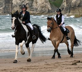 07 jours en stage d’équitation Signature châteaux, Chaussée des Géants, côte et campagne en Irlande du Nord, Royaume - Photo 1