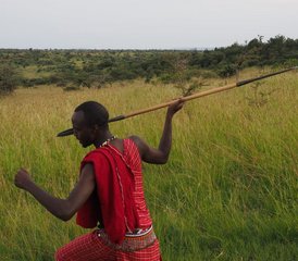 3 Day Great Migration Budget Camping Safari in Maasai Mara National Reserve, Kenya  - Photo 5