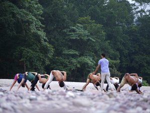 11 Day Intensive 100-Hour Hatha & Ashtanga Yoga Teacher Training in Rishikesh, India with Ayurveda