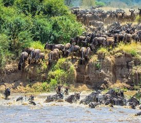 8 Day Royal Serengeti and Ngorongoro Safari in Tanzania: See Big Cats and the Great Migration - Photo 3