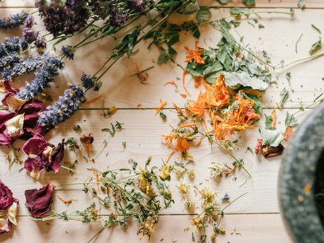 Plant Medicine
