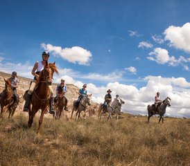 98 jours en stage d’équitation sportive en Cappadoce, Turquie, pour cavaliers confirmés - Photo 1