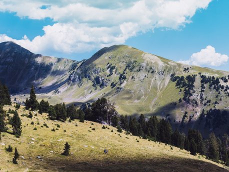 Pyrenees-Orientales