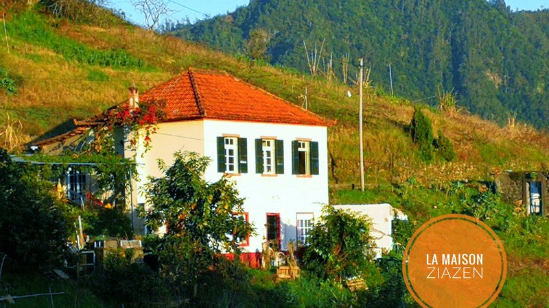 6 jours-30h en formation de professeur de yoga aérien à Madère, Portugal