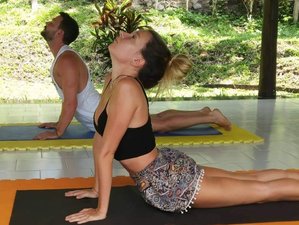 30 Day All-Inclusive Yoga, Meditation, Detox Juice, and Spa Wellness Retreat in Bali, Indonesia