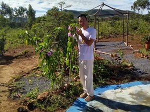 4 Day Cure of the Sacred Boa Yoga and Ayahuasca Retreat in Chapada Dos Veadeiros Goias, Brazil