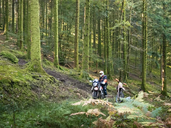 4 Day Guided Adventure Motorbike Tour in Morvan, France photo 3