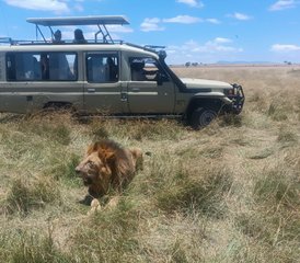 6 días del mejor safari por Kenia en Maasai Mara, Lago Nakuru y Amboseli - Photo 3