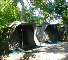 6-Daagse Spannende Safari in Botswana  - Photo 2