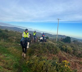 7 Day Luxury Horse Riding Holiday with Cultural and Foodie Experiences in Wicklow, Ireland  - Photo 5
