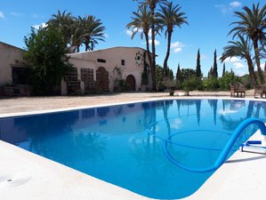 18 Day 200-Hour Transformative Yoga Teacher Training in Alicante's Serene Countryside, Spain