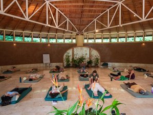 10 Day Clarity Breathwork™ Training Levels 1 and 2 in Nosara, Costa Rica