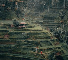 7 Tage Erneuerte Ausstrahlung Privater Retreat in Ubud, Bali, Indonesien - Photo 4