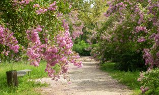 Imeretien Retreats und Reisen