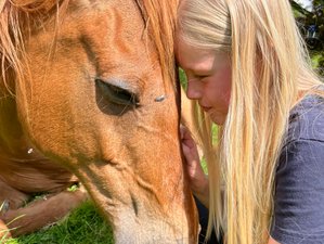 7 Day Healing on Horseback: Equestrian Adventure in Livno, Bosnia and Herzegovina