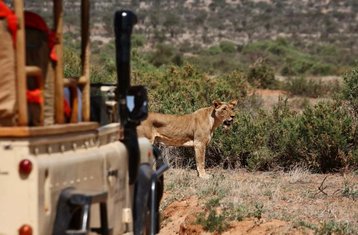 4 Day Kenya Mid-Range Safari at Masai Mara National Reserve and Lake Nakuru National Park