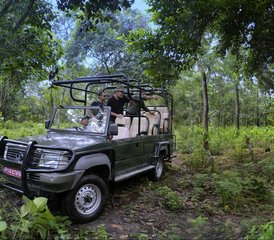 8 jours en stage de visites et safari au Népal - Photo 4