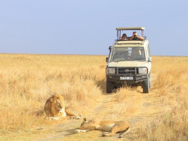 4x4 safari landcruiser in serengeti