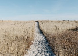 Suffolk Retreats und Reisen