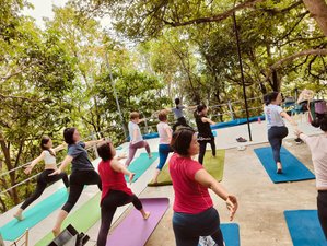 4 Day Island Smiles Yoga Retreat on the Cham Islands, Vietnam
