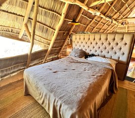 2 jours en retraite de yoga matinal à Sayulita, Mexique - Photo 5