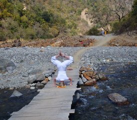 22 Day 200-Hour Yoga Teacher Training in Laxman Jhula, Rishikesh, India - Photo 5