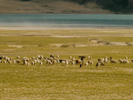 Zanskar