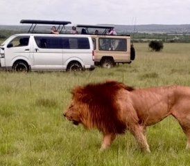 12-Daagse Kenia en Tanzania Budget Safari Wildlife Ervaring - Photo 2