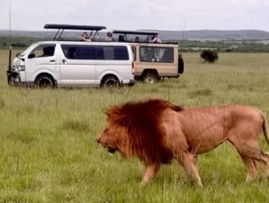 12 Day Kenya and Tanzania Budget Safari Tour Wildlife Experience Package