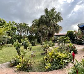 7 jours en stage de yoga à Trois-Rivières, Guadeloupe - Photo 4