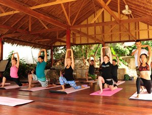 28 Tage 200-Stunden Yogalehrer Ausbildung in Surat Thani
