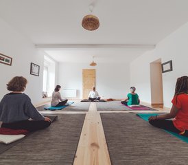 2 jours en week-end de yoga asana, mouvement et énergie, à Saint-Selve, France - Photo 3