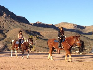 Horseback Riding Tour With Breakfast (Feb 2024)