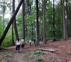 04-Daagse Yoga-, Relaxatie- en Wandelretraite in en rond de abdij van Westmalle, België - Photo 1