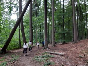 3-Daagse Yoga Retreat in de abdij van Westmalle, Belgie