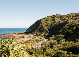 Wellington Retreats & Trips