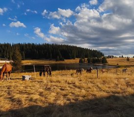 37 jours en stage d’équitation "Karabalkan" dans les magnifiques montagnes des Rhodopes, Bulgarie - Photo 1