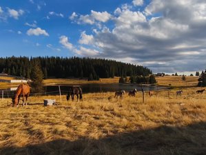 7 Tage "Karabalkan" Reittour in den Magnificent Rhodope Mountains, Bulgarien