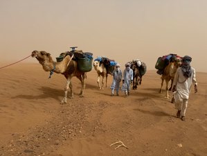 4 Tage Sahara-Wüstentrekking in Marokko
