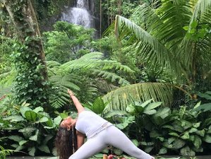 15 jours en retraite de yoga élémentaire et de danse à Embogama, Sri Lanka