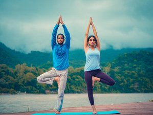 18 días de profesorado de yoga multiestilo de 200 horas con sanación con sonido en Rishikesh, India