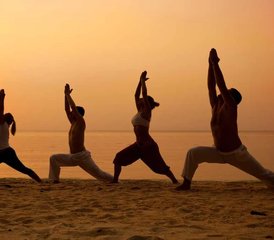 11 jours-200h en formation de professeur de yoga hybride avec sonothérapie à Goa, Inde - Photo 3