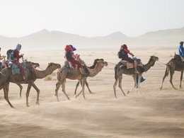 Marrakesch Retreats und Reisen