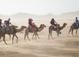 Marrakech Retreats & Trips