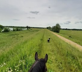 2 Day Weekend Horse Trail Ride in Podlachia, Poland - Photo 3