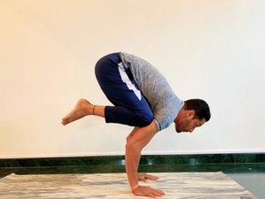 54 Tage 200-Stunden Online Hatha Yogalehrer Ausbildung
