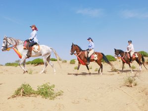 8 Day Horse Riding Safari in Rajasthan